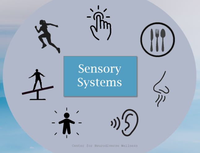 Sensory Systems resized